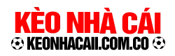 tylenhacai.support